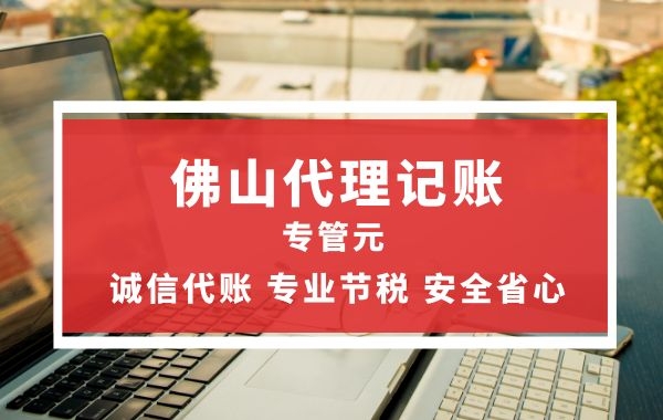 专管元财税